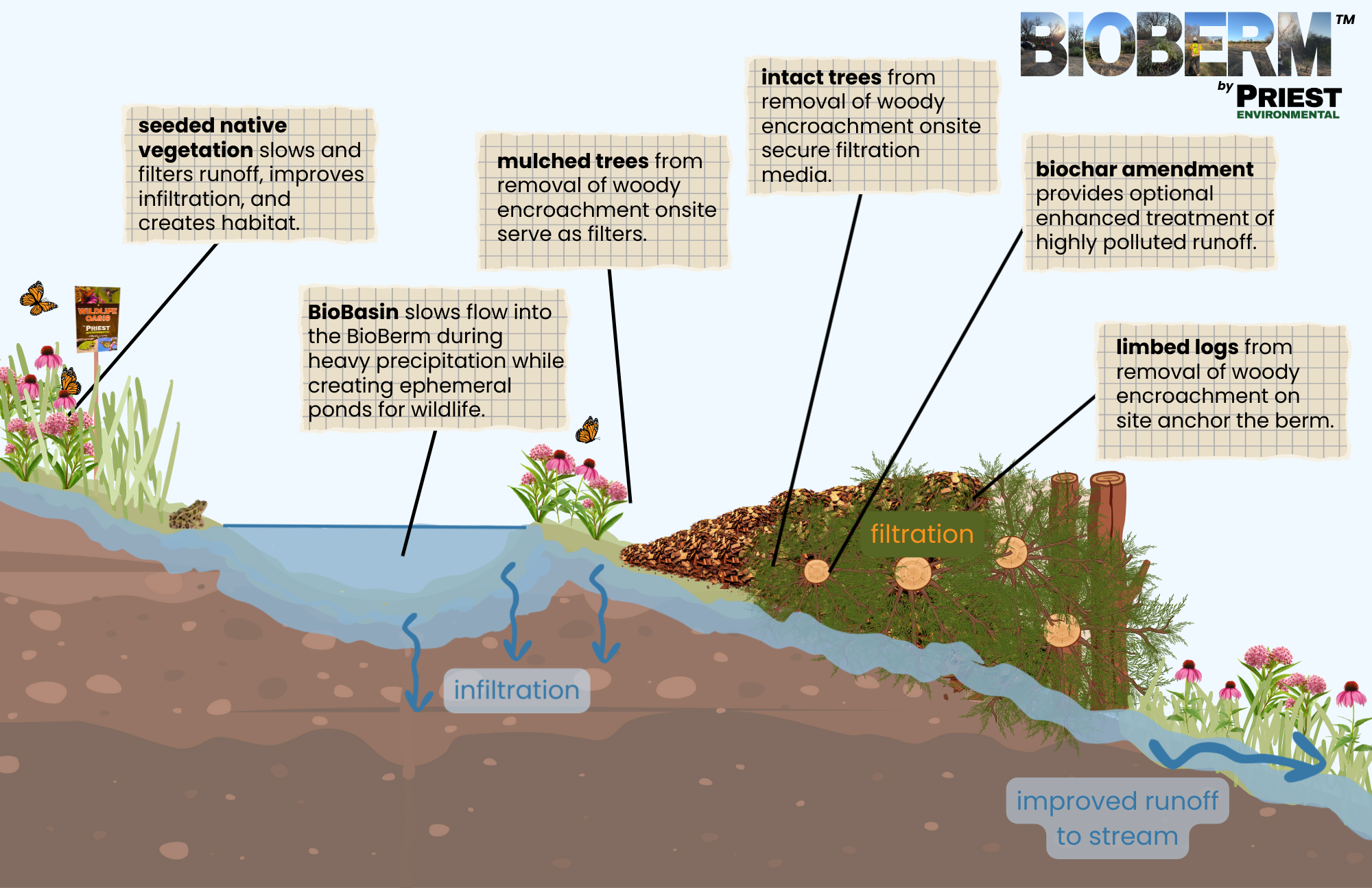 BioBerm Descriptive