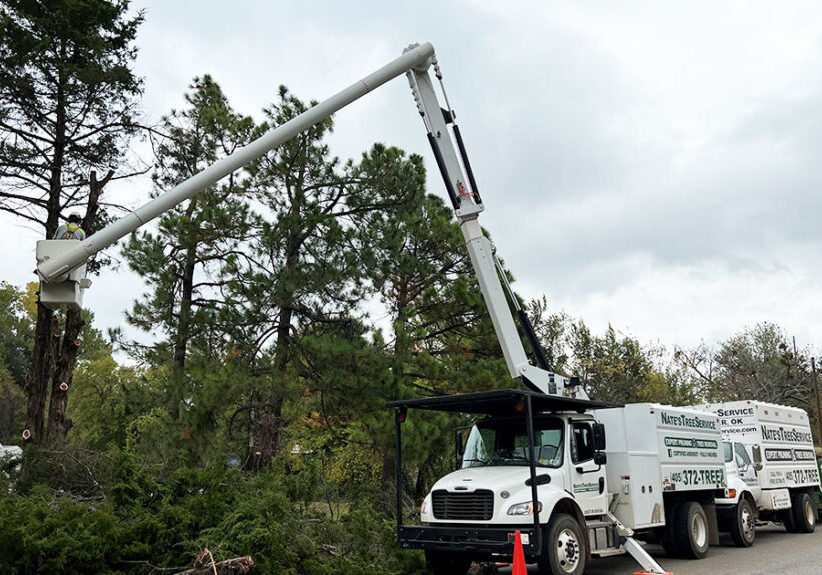 crew-clearing-water-line-installation-1024x575 crew-clearing-water-line-installation-1024x575
